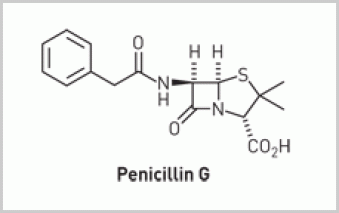 8325penicillin